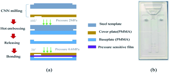 Design And Fabrication Of A Microfluidic Chip To Detect Tumor Markers ...