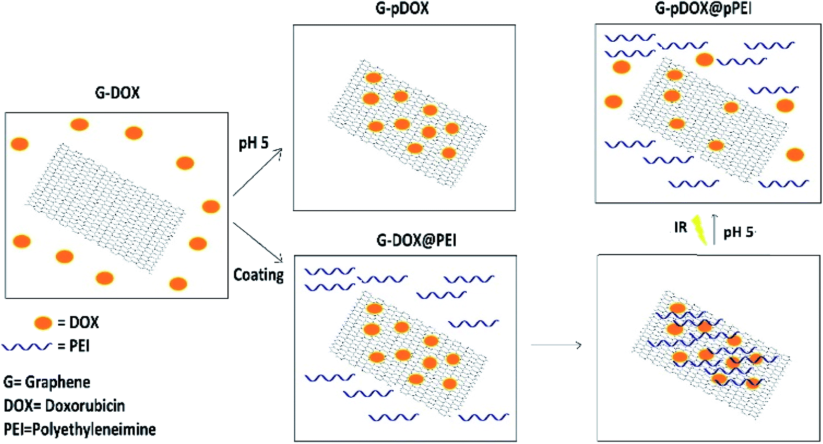Development And Evaluation Of A Ph Responsive And Water Soluble Drug Delivery System Based On Smart Polymer Coating Of Graphene Nanosheets An In Silico Study Rsc Advances Rsc Publishing