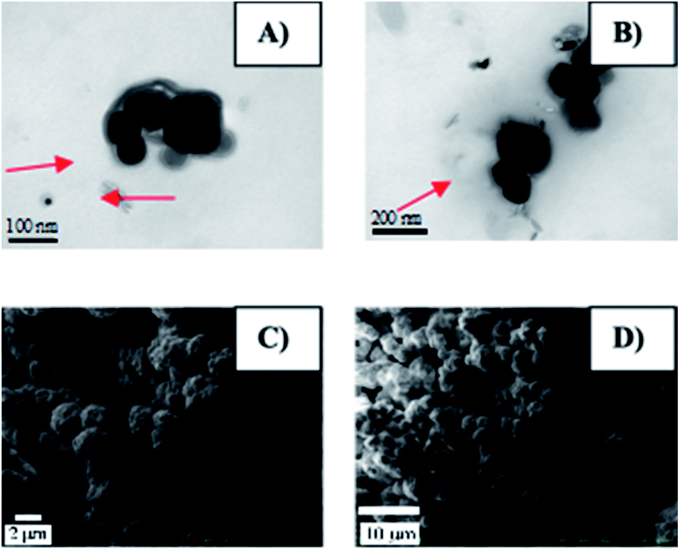 Co0 Superparamagnetic Nanoparticles Stabilized By An Organic Layer Coating With Antimicrobial Activity Rsc Advances Rsc Publishing