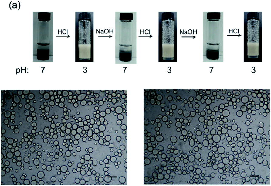 pickering emulsion stabilized by nanocomplex