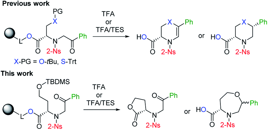 Synthesis Of Chiral 1 4 Oxazepane 5 Carboxylic Acids From Polymer Supported Homoserine Rsc Advances Rsc Publishing