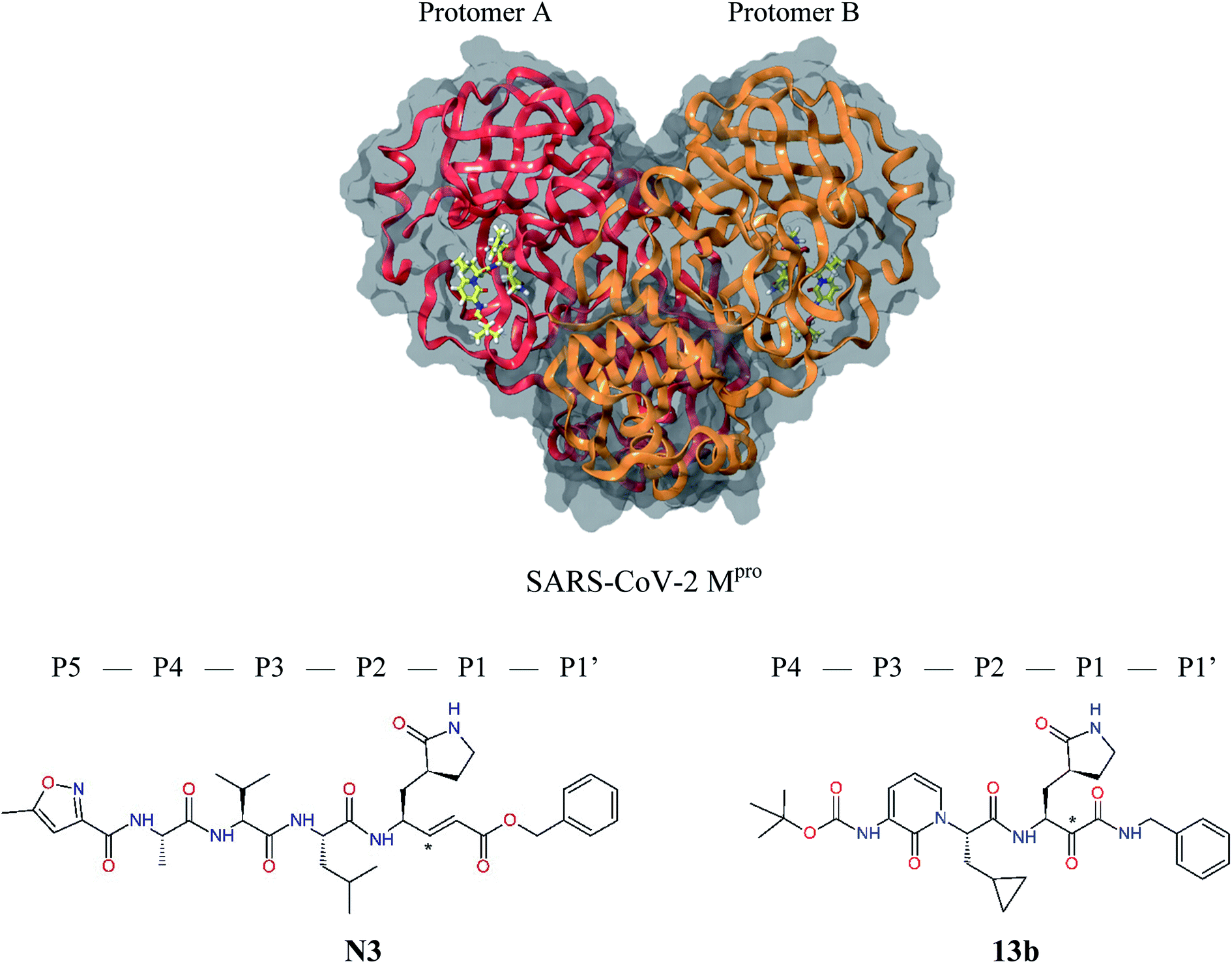 Antiviral Agents Against Covid 19 Structure Based Design Of Specific Peptidomimetic Inhibitors Of Sars Cov 2 Main Protease Rsc Advances Rsc Publishing