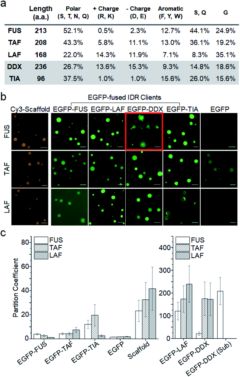 fus protein scaffold and client fus protein scaffold and client