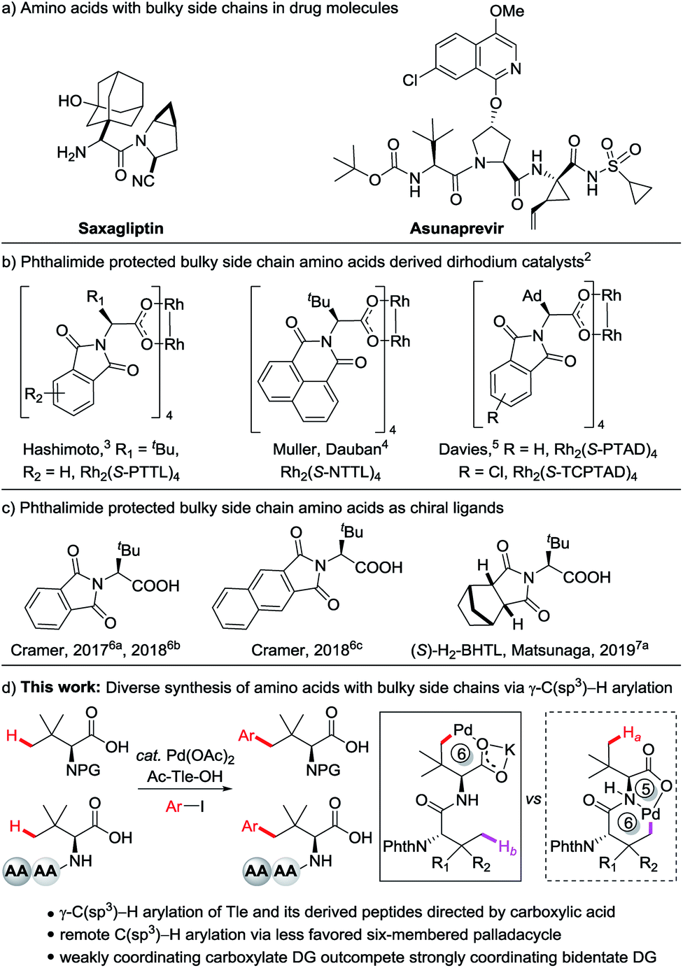 Synthesis Of Amino Acids And Peptides With Bulky Side Chains Via Ligand Enabled Carboxylate Directed G C Sp3 H Arylation Chemical Science Rsc Publishing