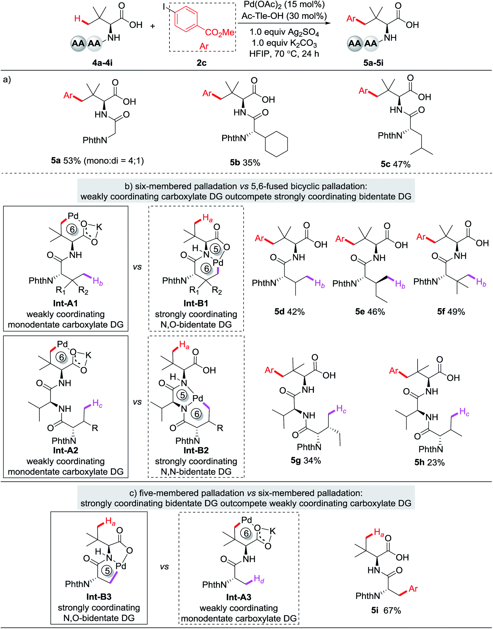 Synthesis Of Amino Acids And Peptides With Bulky Side Chains Via Ligand Enabled Carboxylate Directed G C Sp3 H Arylation Chemical Science Rsc Publishing