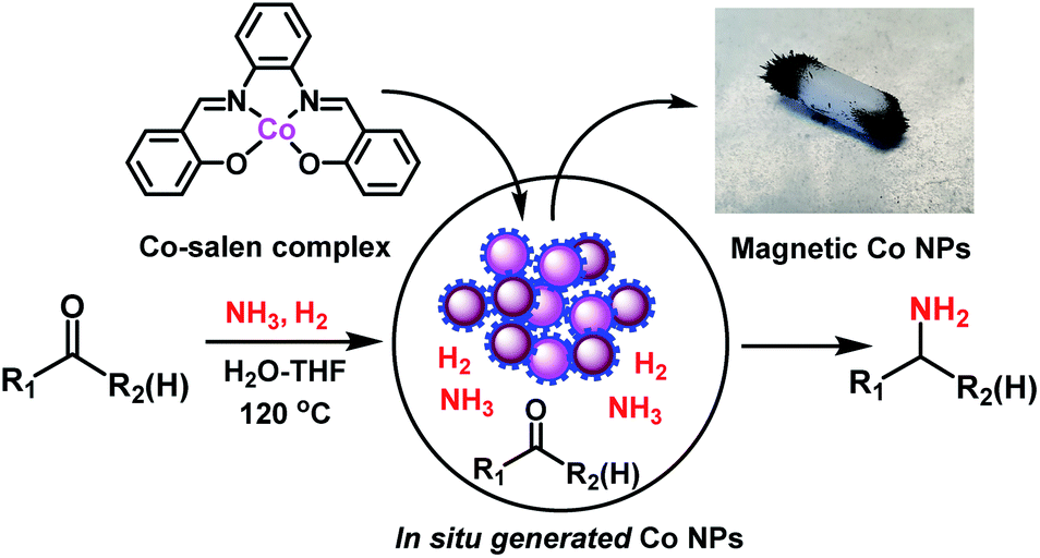 Ultra Small Cobalt Nanoparticles From Molecularly Defined Co Salen Complexes For Catalytic Synthesis Of Amines Chemical Science Rsc Publishing