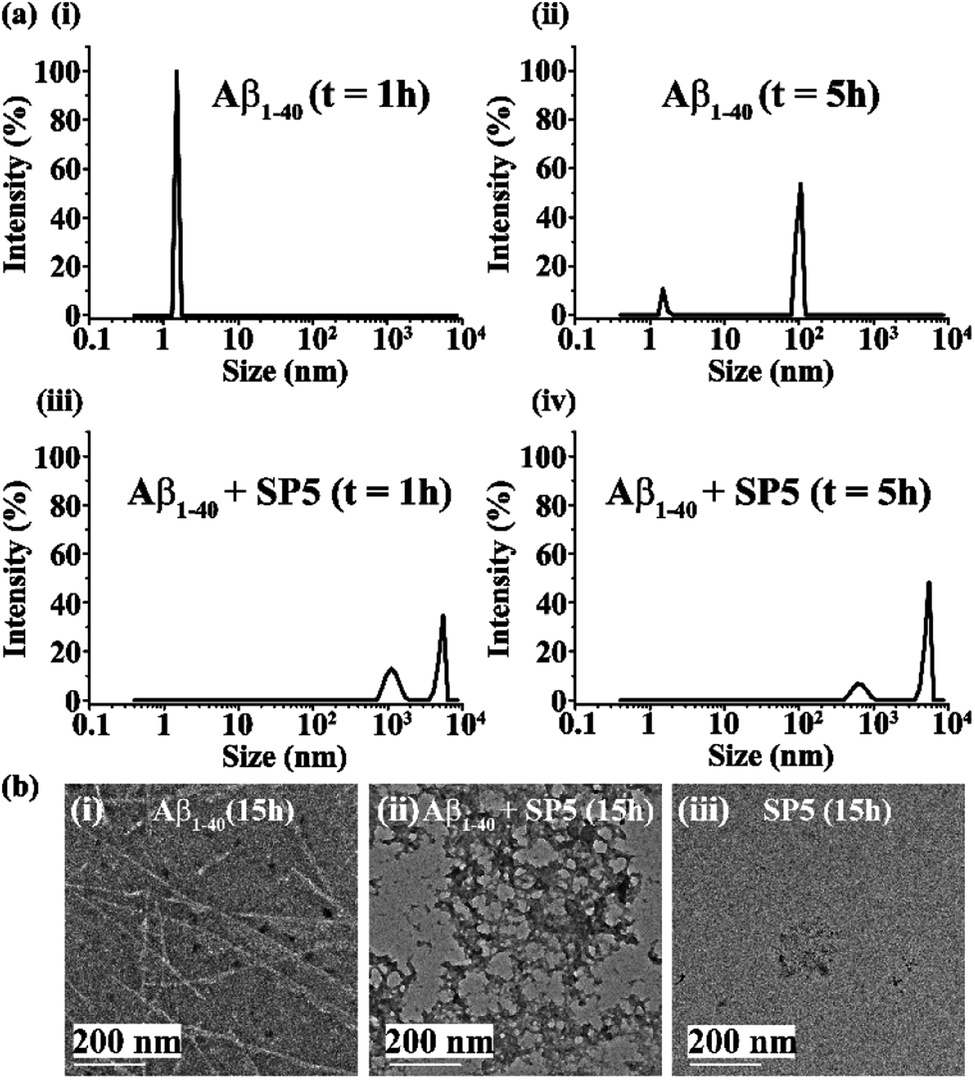 Peptidomimetics Prepared By Tail To Side Chain One Component Peptide Stapling Inhibit Alzheimer S Amyloid B Fibrillogenesis Chemical Science Rsc Publishing