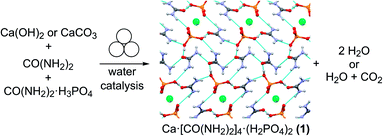 In situ monitoring of mechanochemical synthesis of calcium urea ...