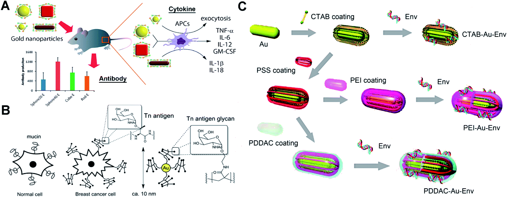 Surface Chemistry Of Gold Nanoparticles For Health Related Applications Chemical Science Rsc Publishing