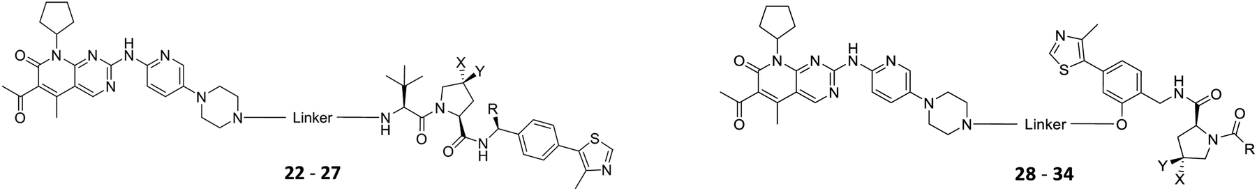 Systematic Exploration Of Different Ubiquitin Ligases An Approach Towards Potent And Selective Cdk6 Degraders Chemical Science Rsc Publishing