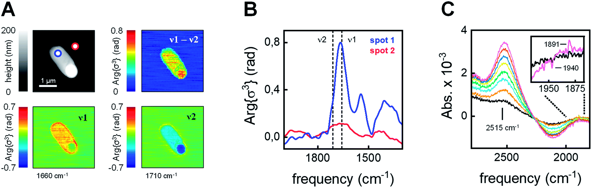 Spectroscopic Investigations Under Whole Cell Conditions Provide New Insight Into The Metal Hydride Chemistry Of Fefe Hydrogenase Chemical Science Rsc Publishing
