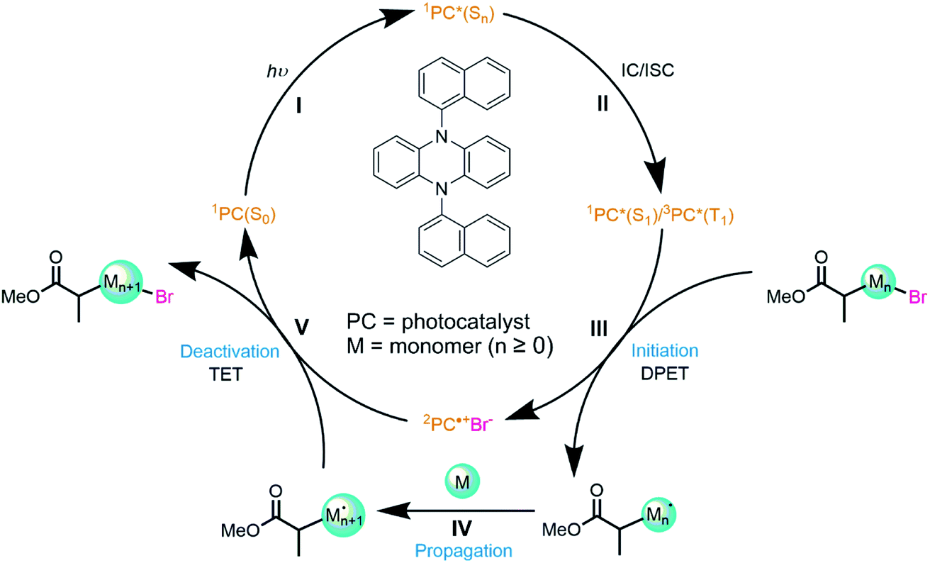 Mapping The Multi Step Mechanism Of A Photoredox Catalyzed Atom