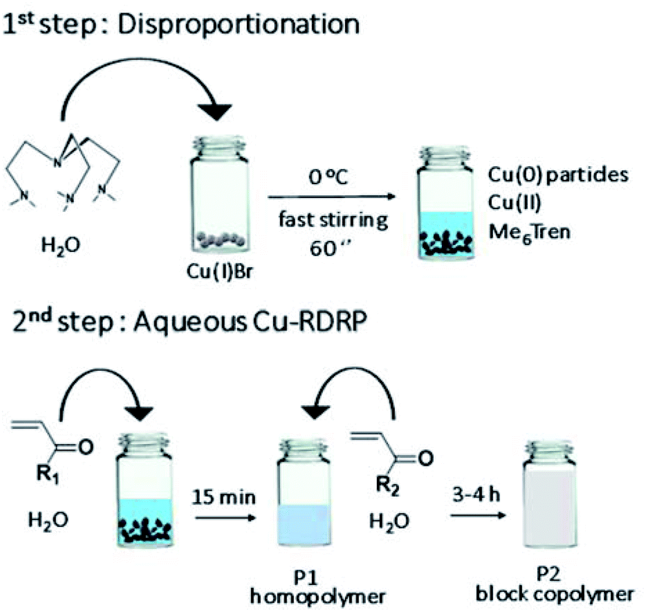Rapidly Self Deoxygenating Controlled Radical Polymerization In Water Via In Situ Disproportionation Of Cu I Chemical Science Rsc Publishing