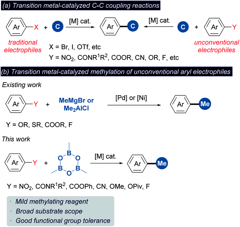 A Methylation Platform Of Unconventional Inert Aryl Electrophiles Trimethylboroxine As A Universal Methylating Reagent Chemical Science Rsc Publishing