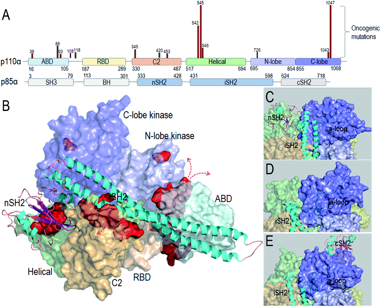 Pi3k Inhibitors Review And New Strategies Chemical Science Rsc Publishing