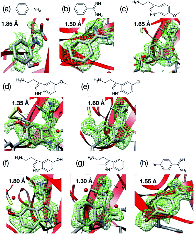 Room Temperature Crystallography Using A Microfluidic Protein Crystal Array Device And Its