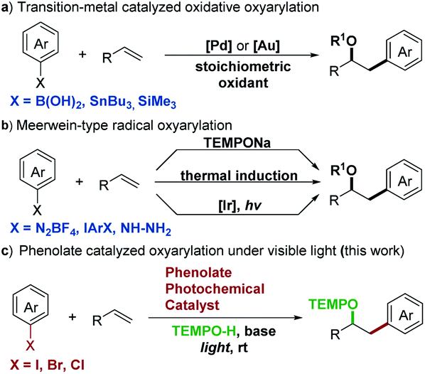 Intermolecular oxyarylation of olefins with aryl halides and TEMPOH ...