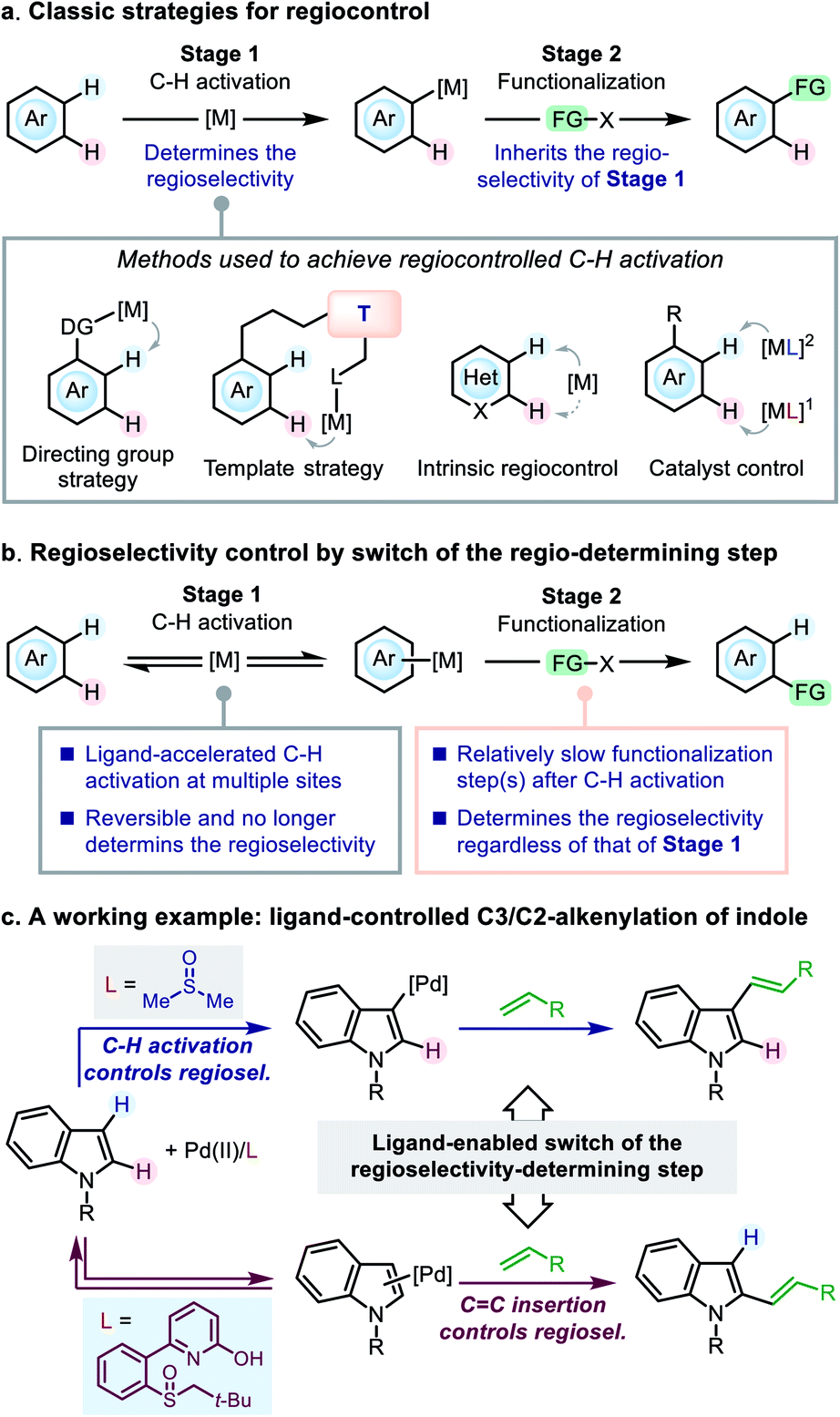 Regiocontrol In The Oxidative Heck Reaction Of Indole By Ligand Enabled Switch Of The Regioselectivity Determining Step Chemical Science Rsc Publishing