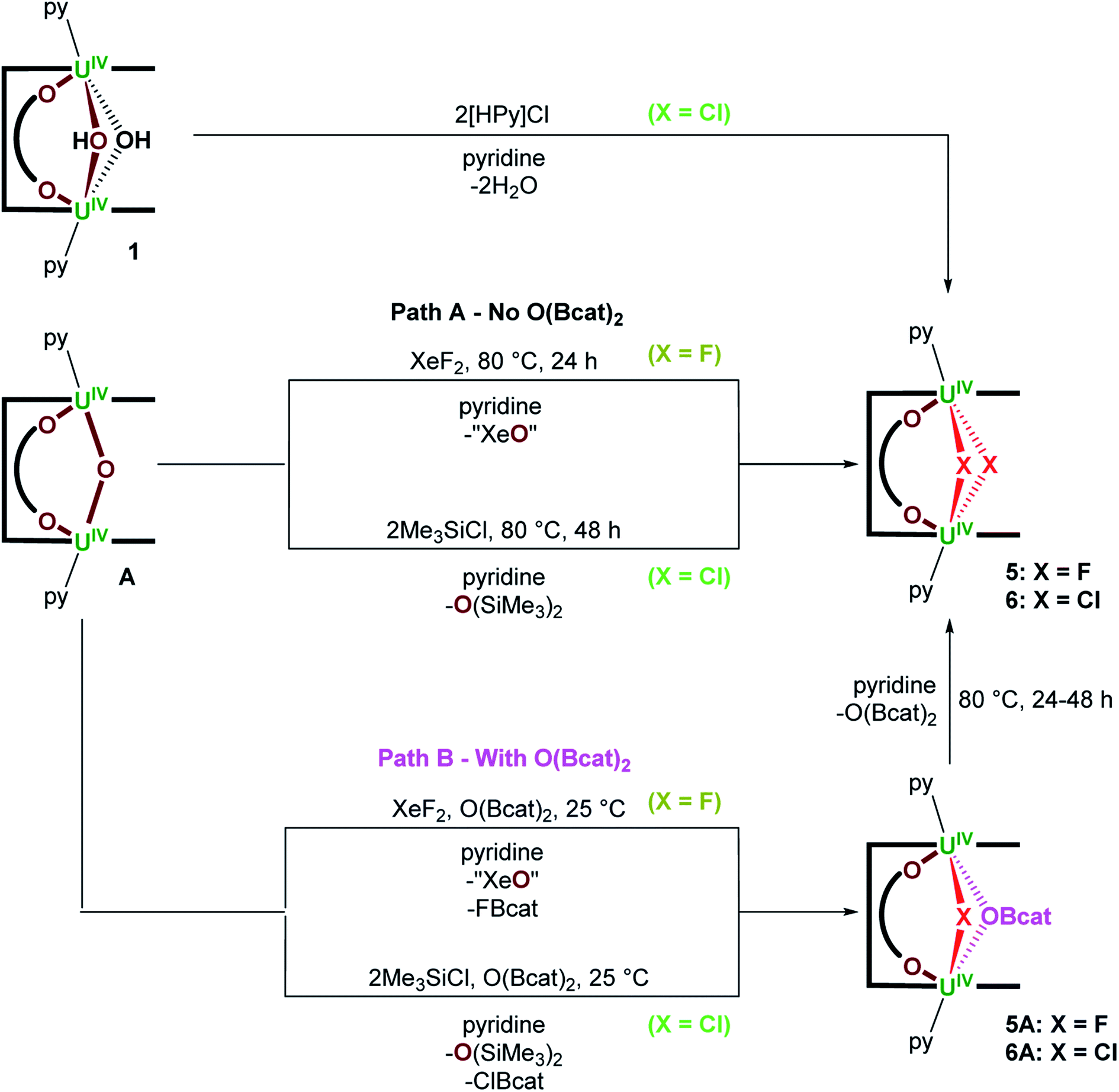 Selective Oxo Ligand Functionalisation And Substitution Reactivity In An Oxo Catecholate Bridged Uiv Uiv Pacman Complex Chemical Science Rsc Publishing