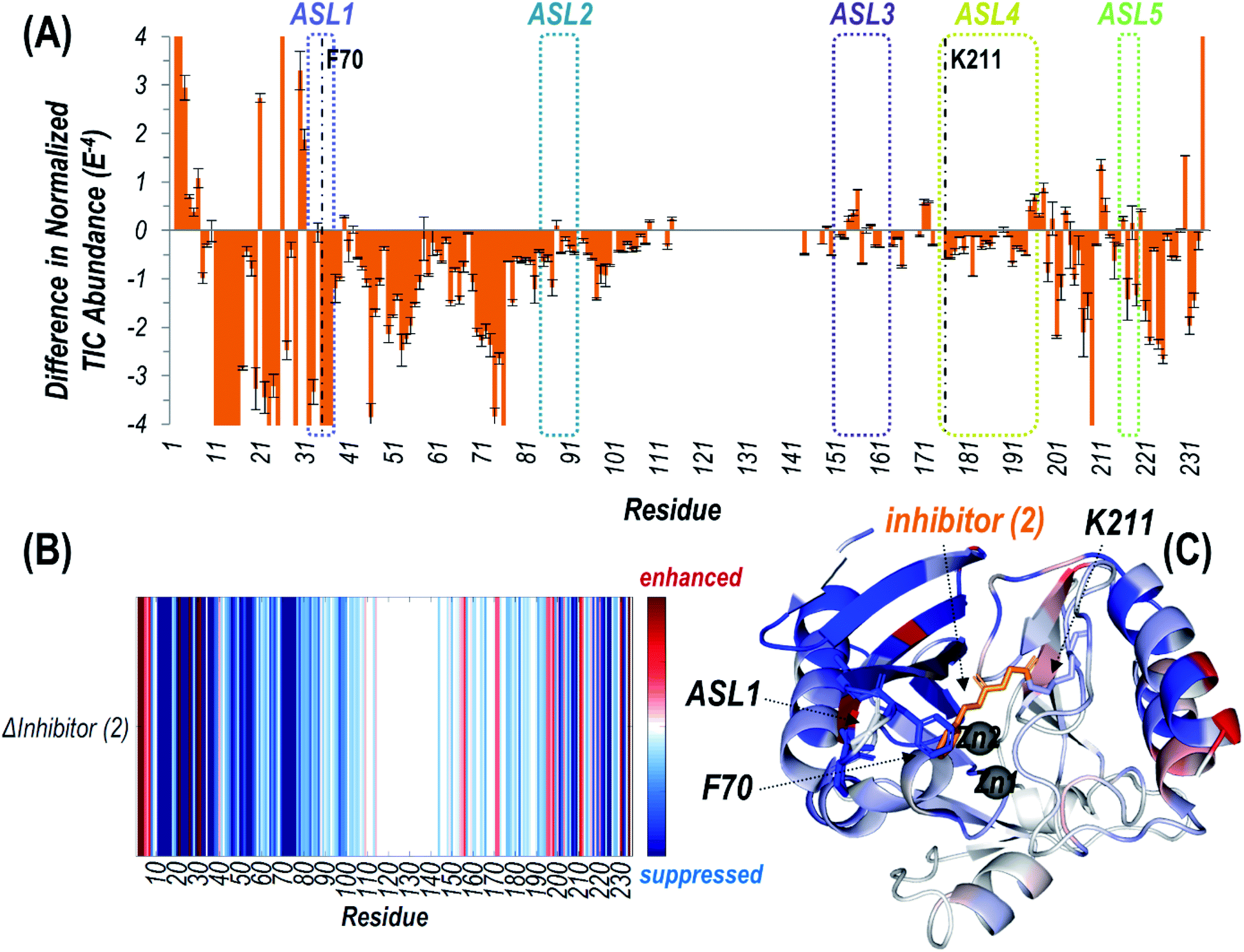 Elusive Structural Changes Of New Delhi Metallo-β-lactamase Revealed By ...