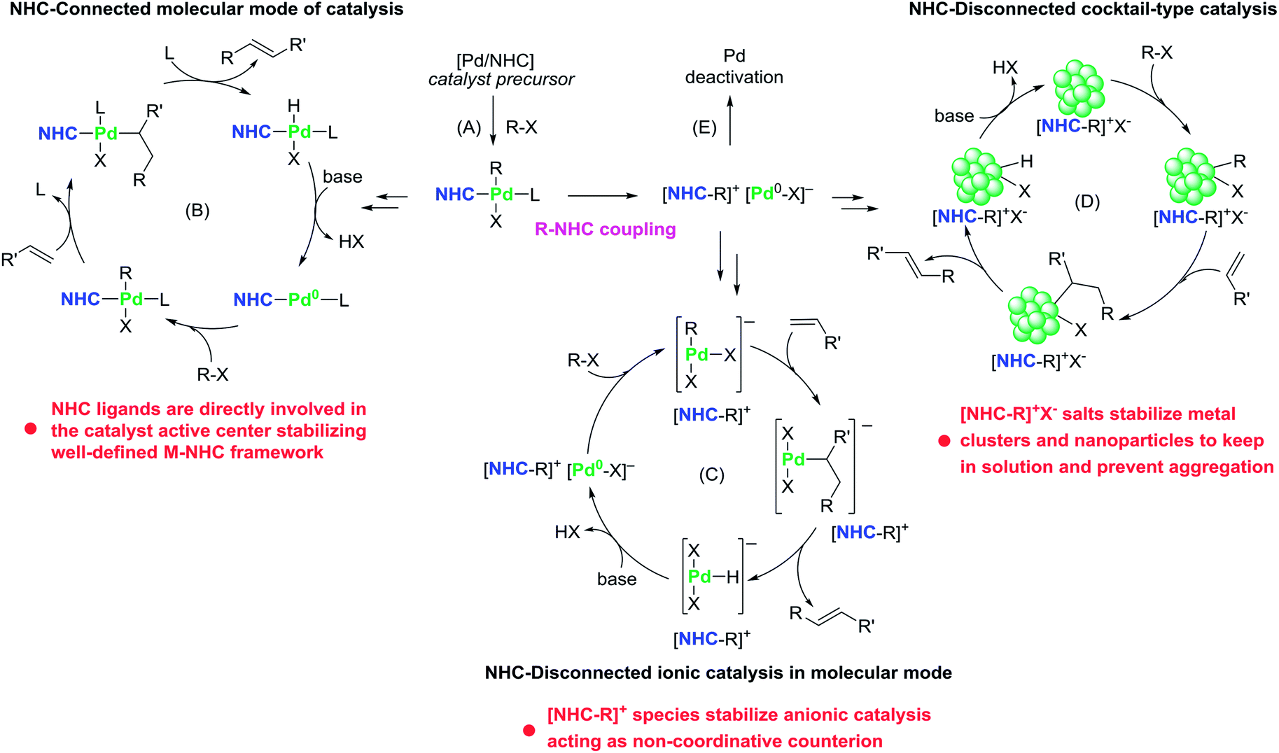 The Key Role Of R Nhc Coupling R C H Heteroatom And M Nhc Bond Cleavage In The Evolution Of M Nhc Complexes And Formation Of Catalytically Active Species Chemical Science Rsc Publishing