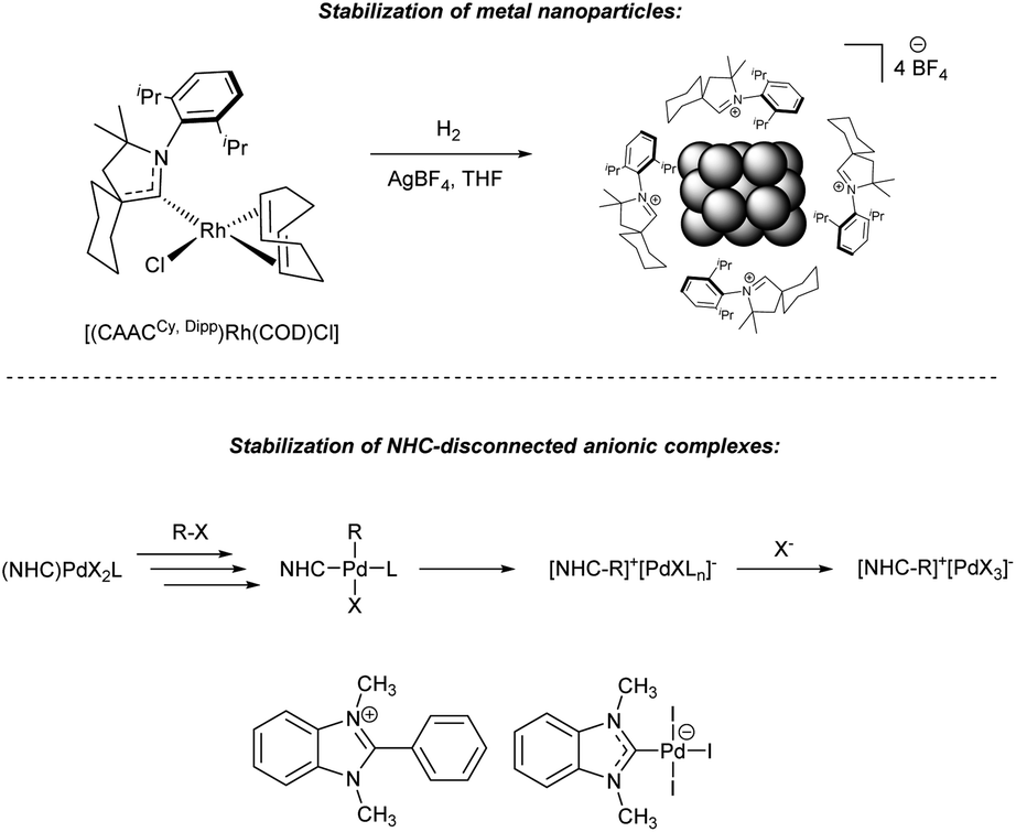 The Key Role Of R Nhc Coupling R C H Heteroatom And M Nhc Bond Cleavage In The Evolution Of M Nhc Complexes And Formation Of Catalytically Active Species Chemical Science Rsc Publishing