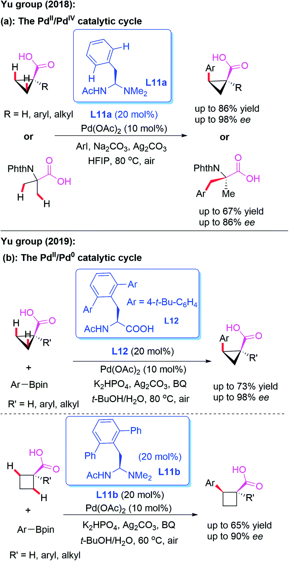 Palladium Catalyzed Direct Asymmetric C H Bond Functionalization Enabled By The Directing Group Strategy Chemical Science Rsc Publishing