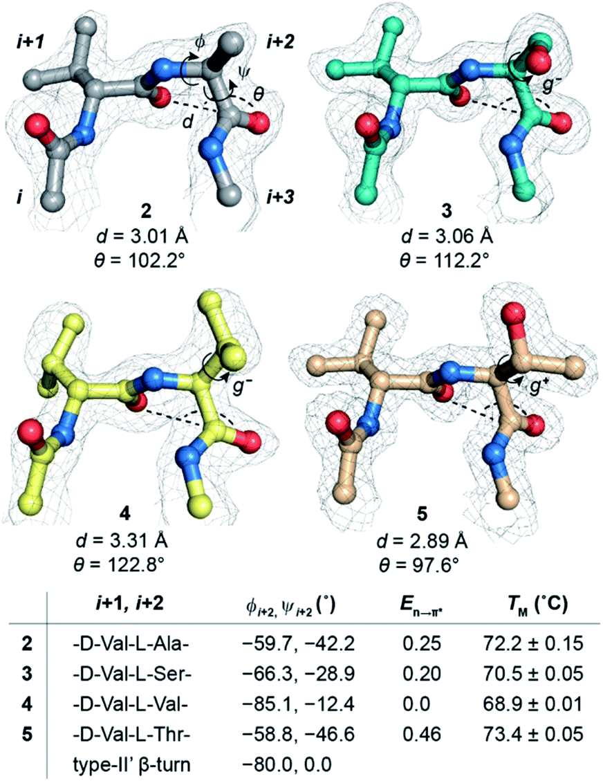 Increasing Protein Stability By Engineering The N P Interaction At The B Turn Chemical Science Rsc Publishing