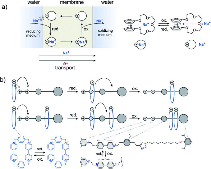 Membranes to Molecular Machines