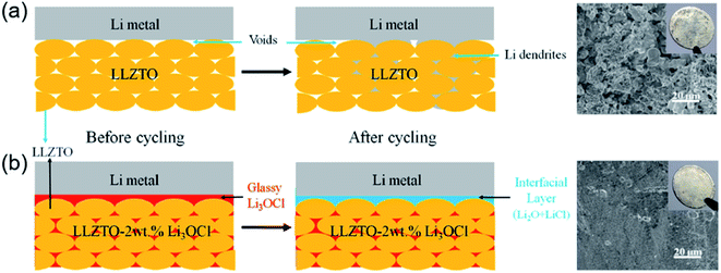 xps lialo2 coating on nmc cathode