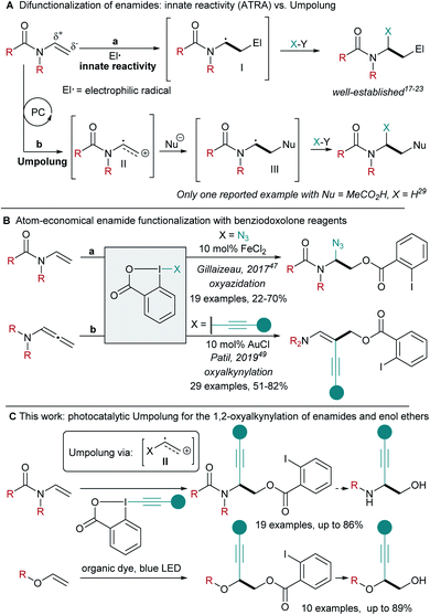 Photocatalytic Umpolung of N - and O -substituted alkenes for the ...