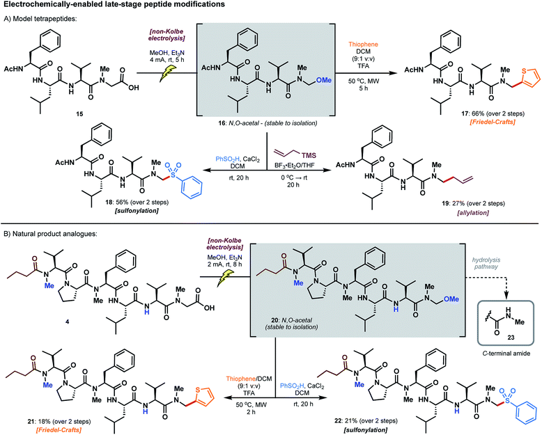 Total synthesis of biseokeaniamides A–C and late-stage ...