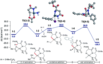 Peptide late-stage C(sp 3 )–H arylation by native asparagine assistance ...