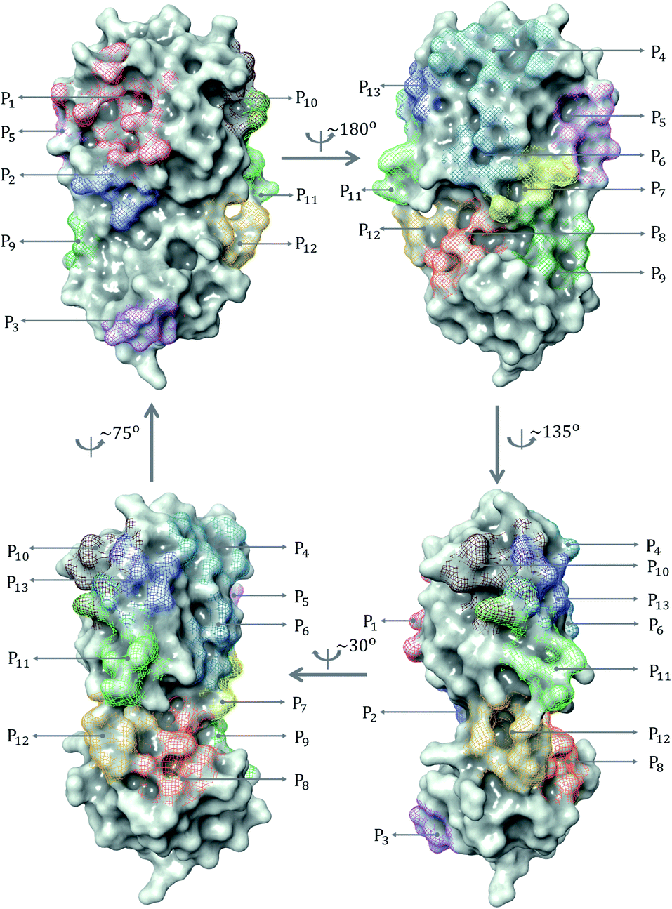 Unveiling The Molecular Mechanism Of Sars Cov 2 Main Protease Inhibition From 137 Crystal Structures Using Algebraic Topology And Deep Learning Chemical Science Rsc Publishing