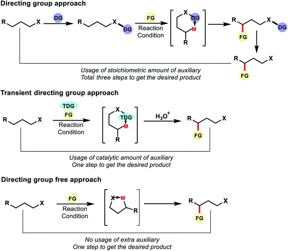 Diverse Strategies For Transition Metal Catalyzed Distal C Sp3 H Functionalizations Chemical Science Rsc Publishing