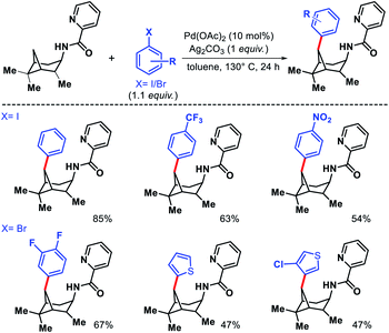 Diverse Strategies For Transition Metal Catalyzed Distal C Sp3 H Functionalizations Chemical Science Rsc Publishing