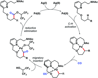 Diverse Strategies For Transition Metal Catalyzed Distal C Sp3 H Functionalizations Chemical Science Rsc Publishing