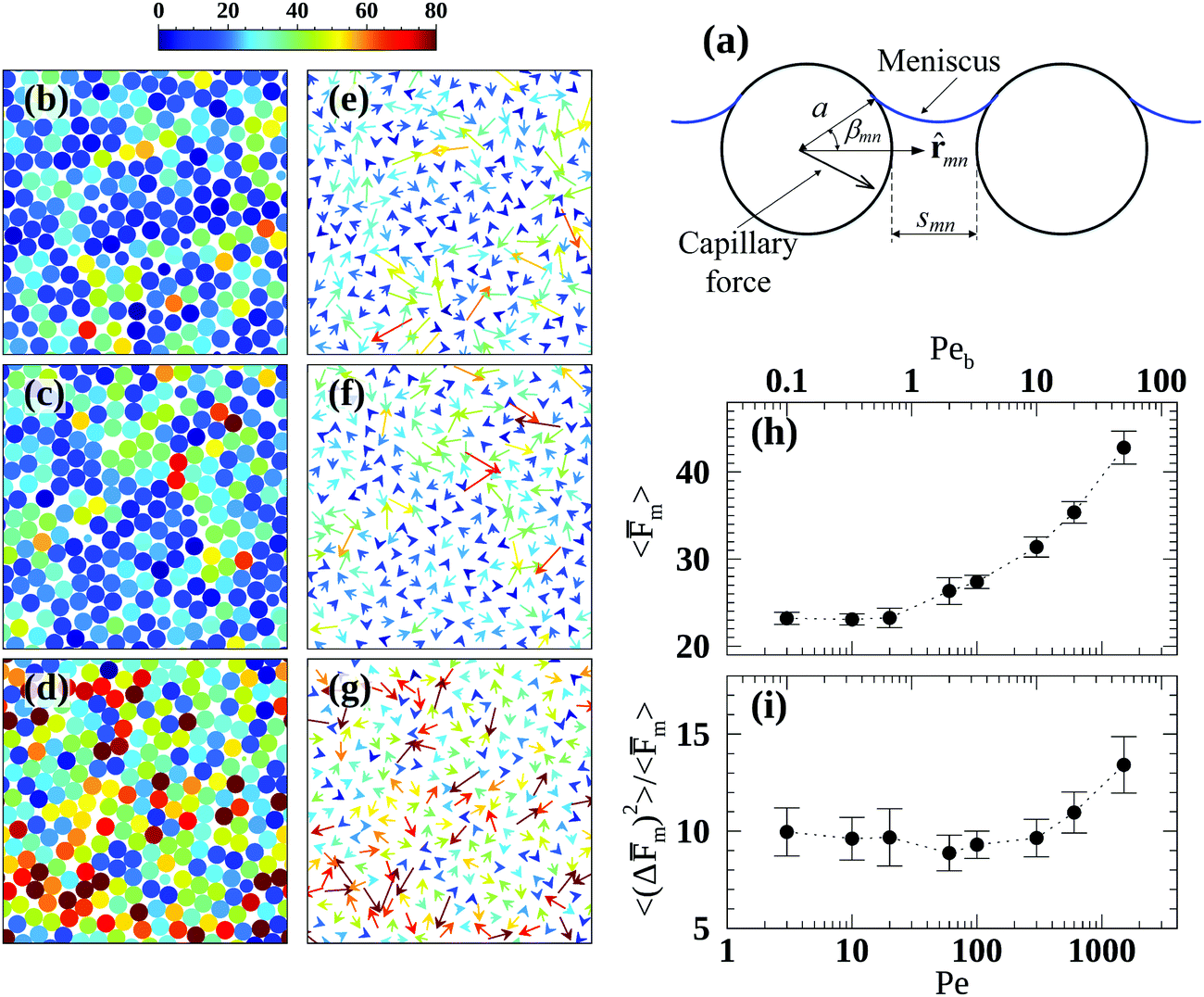 Temporal Evolution Of Concentration And Microstructure Of Colloidal Films During Vertical Drying A Lattice Boltzmann Simulation Study Soft Matter Rsc Publishing