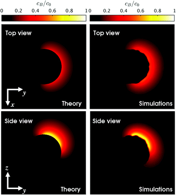 Active Rotational Dynamics Of A Self Diffusiophoretic Colloidal Motor Soft Matter Rsc Publishing