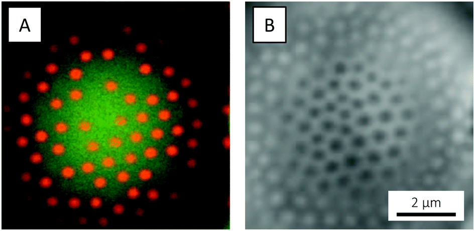 pickering emulsion disc particles