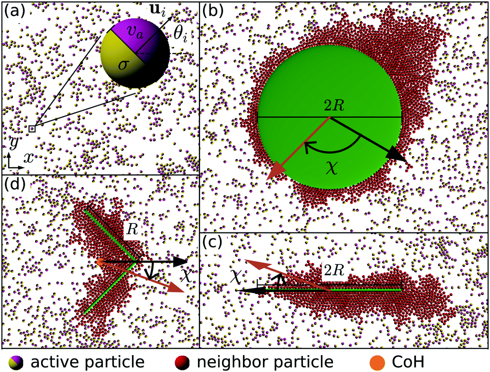 Different Shaped Micro Objects Driven By Active Particle Aggregations Soft Matter Rsc Publishing