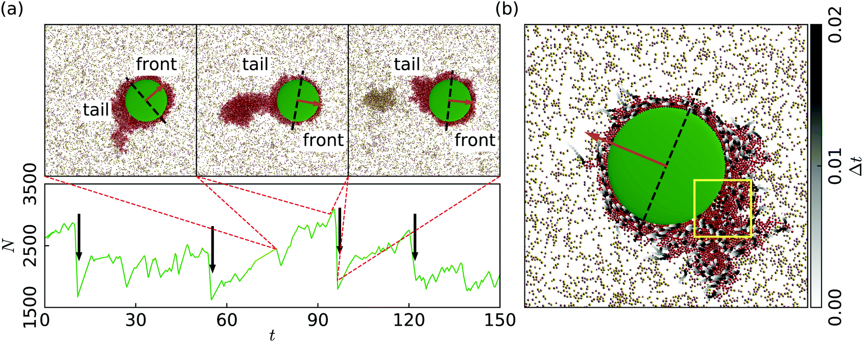 Different Shaped Micro Objects Driven By Active Particle Aggregations Soft Matter Rsc Publishing
