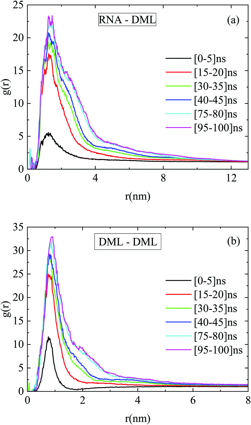 Complexation Of Single Stranded Rna With An Ionizable Lipid An All Atom Molecular Dynamics Simulation Study Soft Matter Rsc Publishing