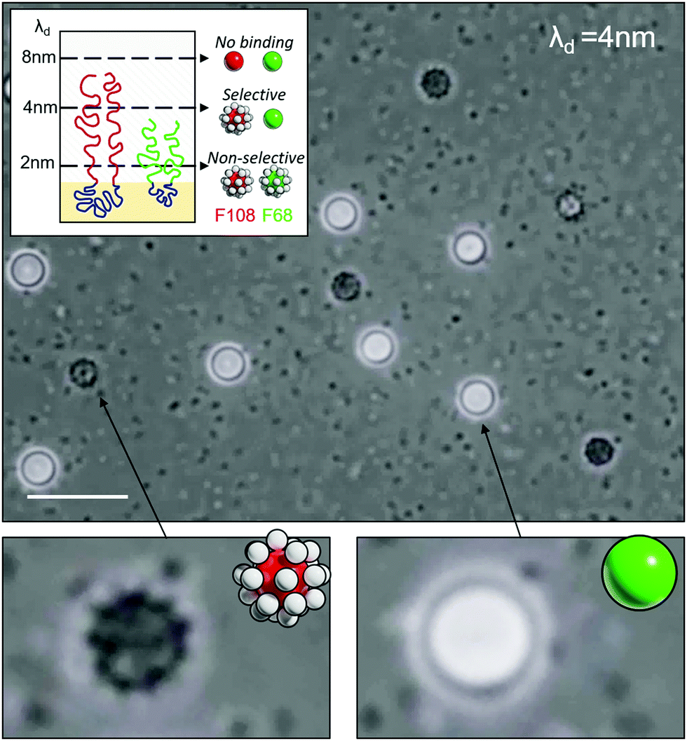 Selective colloidal bonds via polymer-mediated interactions - Soft Matter (RSC Publishing) DOI ...