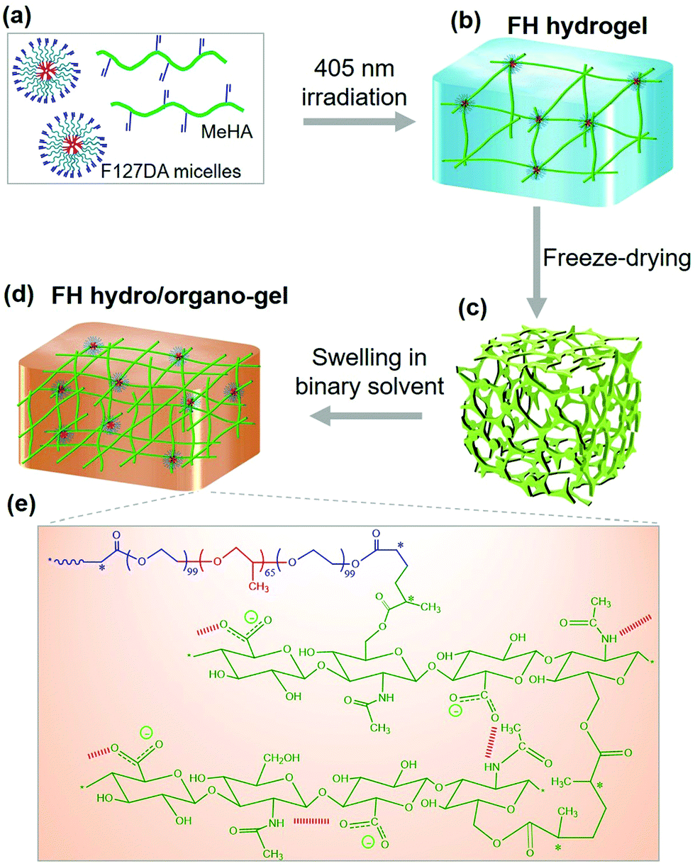 Reinforced Macromolecular Micelle Crosslinked Hyaluronate Gels Induced By Water Dmso Binary Solvent Soft Matter Rsc Publishing