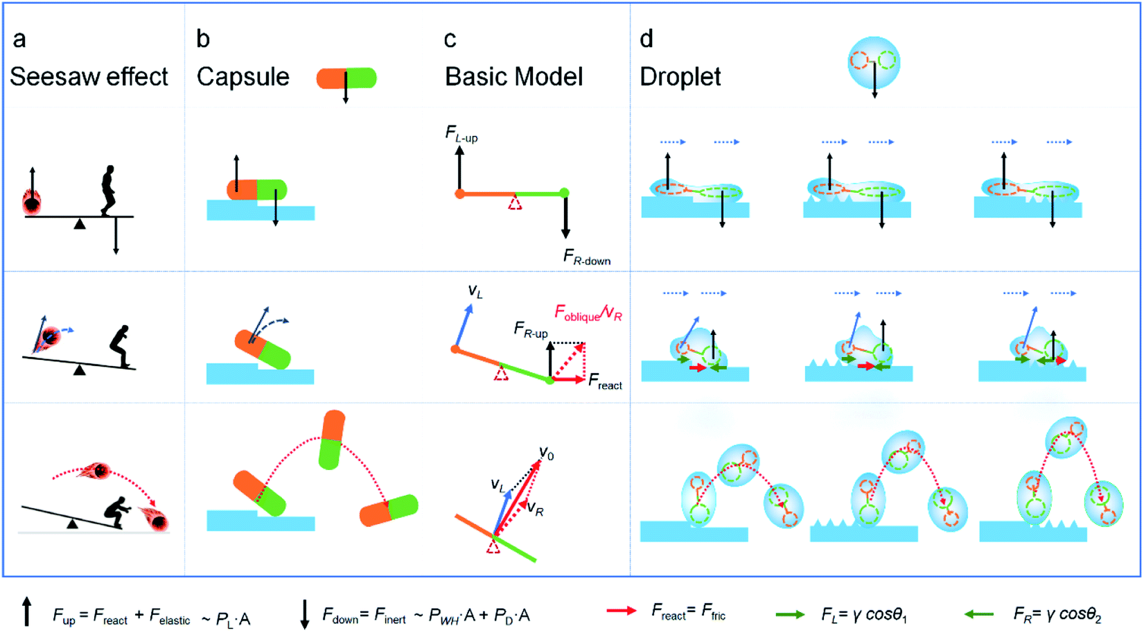 seesaw effect