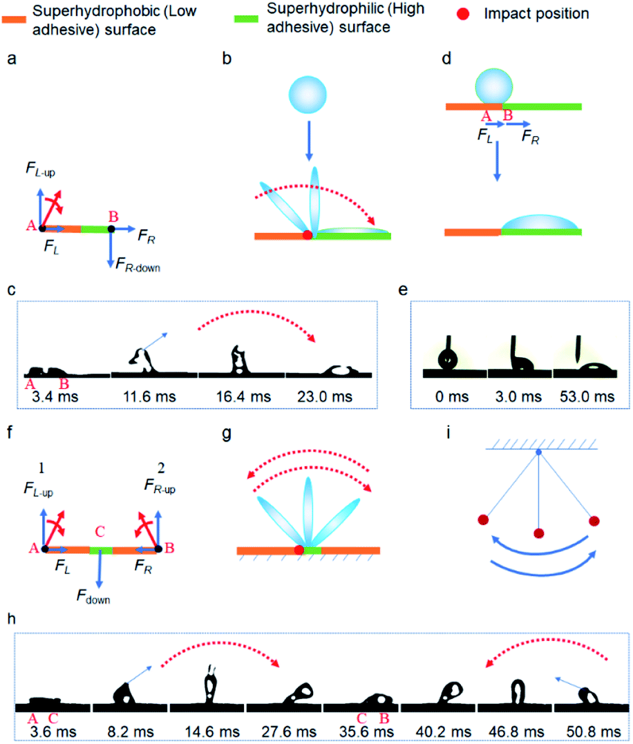 seesaw movement