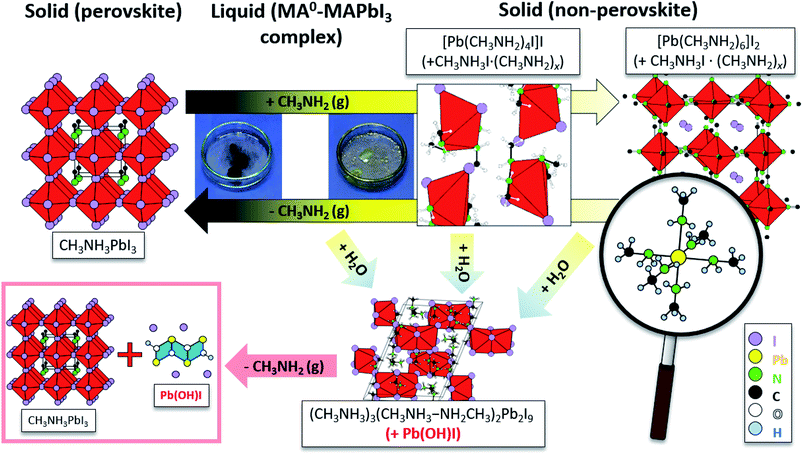 The nature of the methylamine–MAPbI 3 complex: fundamentals of gas ...