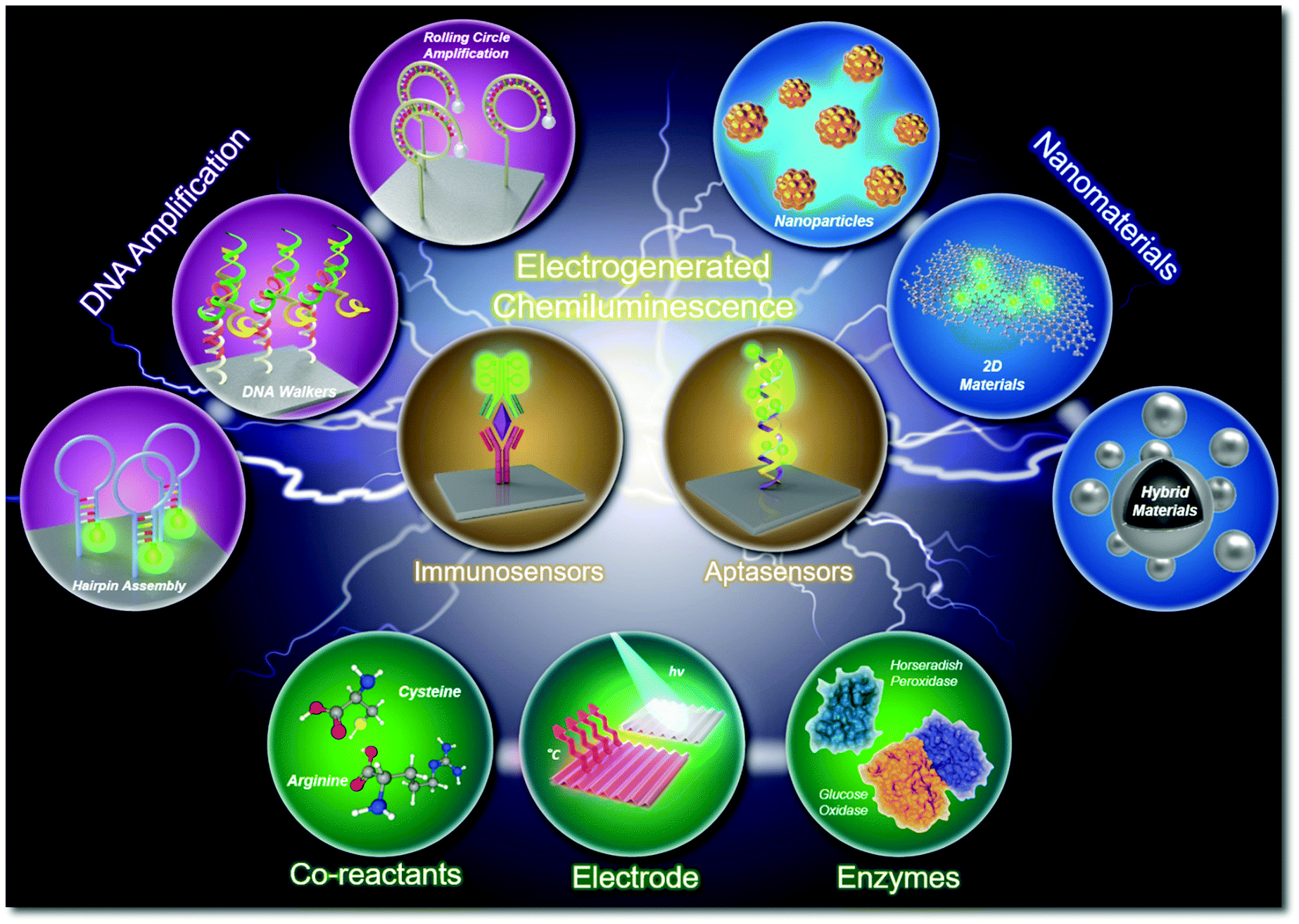 Enhanced biosensing strategies using electrogenerated chemiluminescence