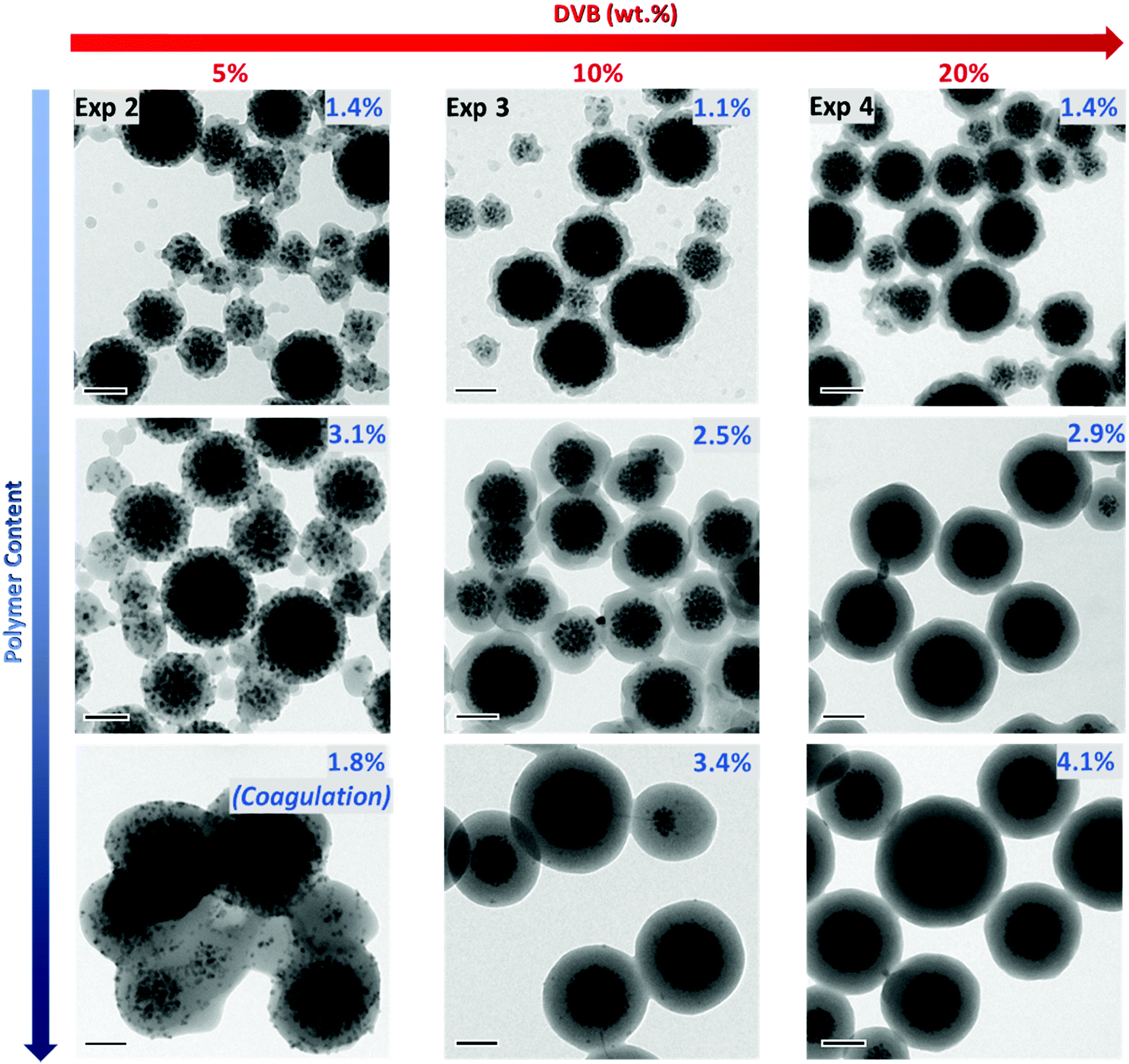 Polymer Encapsulation Of Iron Oxide Clusters Using Macroraft Block Copolymers As Stabilizers Tuning Of The Particle Morphology And Surface Functionalization Journal Of Materials Chemistry B Rsc Publishing